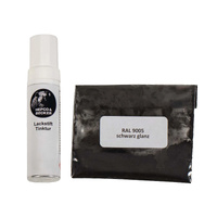 Paint repair set black glossy