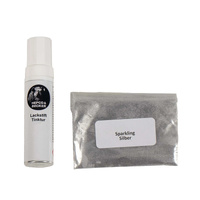 Paint repair set silver